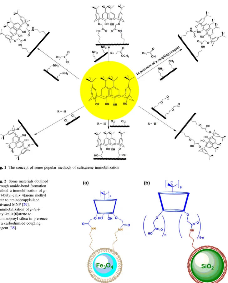 Fig. 2 Some materials obtained through amide-bond formation method a immobilization of  p-tert-butyl-calix[4]arene methyl ester to aminopropylsilane activated MNP [29], b immobilization of  p-tert-butyl-calix[6]arene to