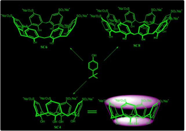 Fig. 1    Synthesis of water-soluble sulfonate calix[n]arenes (n: 4, 6, or 8)