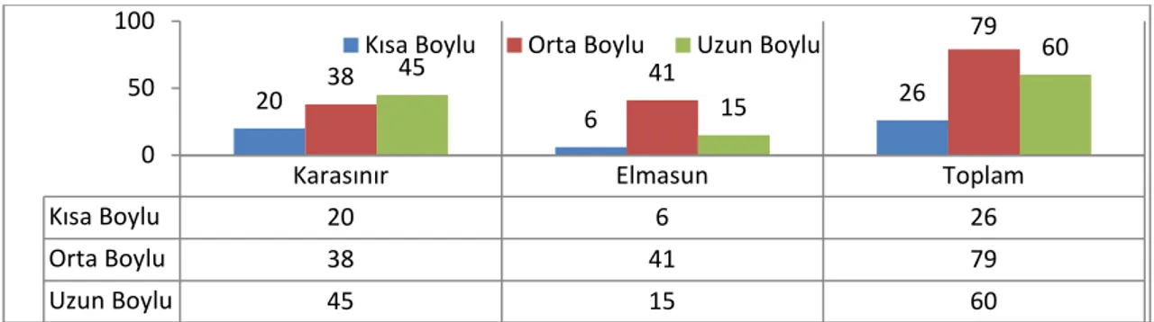 Grafik 15: Karasınır ve Elmasun’da Yaşayan Erkek Nüfusun Boy Özellikleri, 1840/41. 