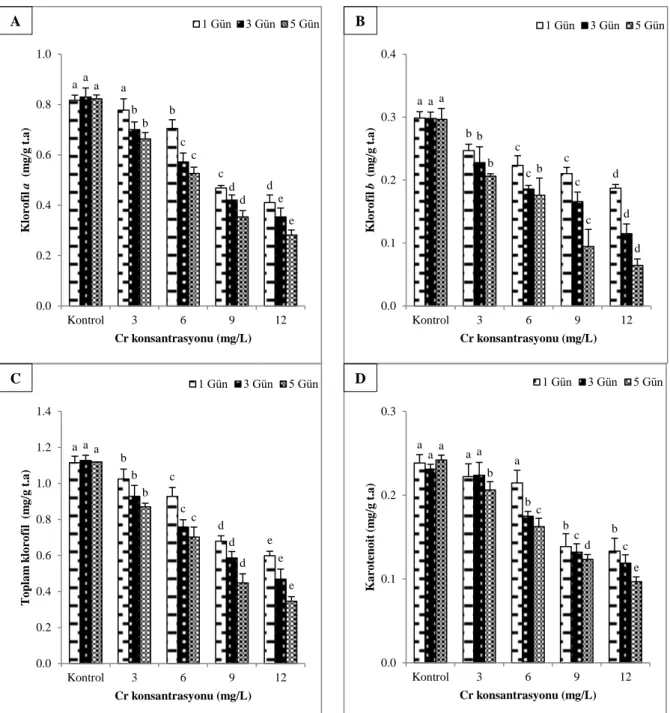 Şekil 2. Farklı konsantrasyon ve sürelerde Cr uygulanan  C. demersum 'un (A) klorofil  a , (B) klorofil  b , (C) toplam  klorofil ve (D) karotenoit içerikleri