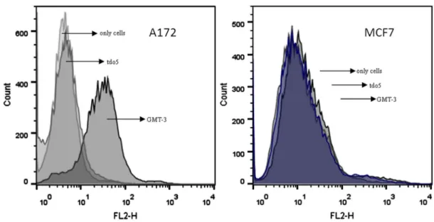 Figure 5. Effects of DOX, GMT-3:DOX and tdo-5:DOX complex on A-172 and MCF-7 cells viability (XTT assay).