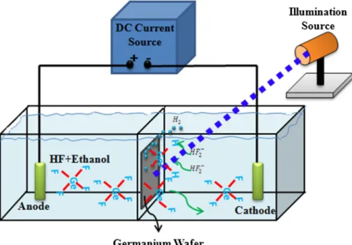 Figure 1 Double-cell electrochemical anodization setup.