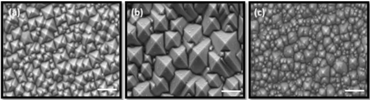 Figure 5 FESEM images of germanium nanosurfaces produced by bipolar electrochemical etching under a halogen lamp, b 470-nm pulsed diode laser illumination.