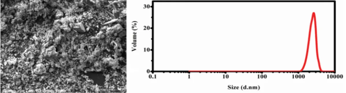 Table 1. Chemical composition of CAS in mass fraction