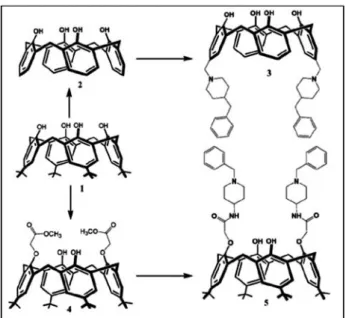 Figure 1. Synthetic route for the preparation of the lower rim or up- up-per rim modified piup-peridine calixarene (3) and (5).