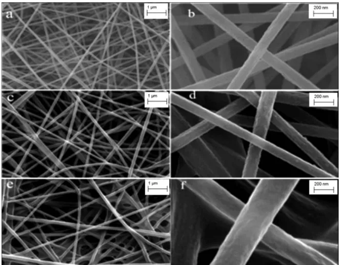 Figure 3. SEM images of prepared nanofibers: a. and b. pure PAN; c. and d. PAN-CLX5; e