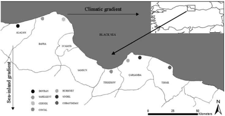 Fig. 1 Studied localities in coastal dunes in North of Turkey