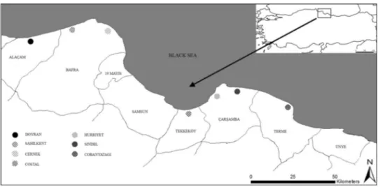 Fig. 1 Studied localities in coastal dunes in Central Black Sea Region of Turkey