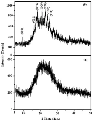 FIG. 1. X-ray diffractogram patterns of (a) pure PAni, (b) DBSA-doped- DBSA-doped-PAni, respectively.