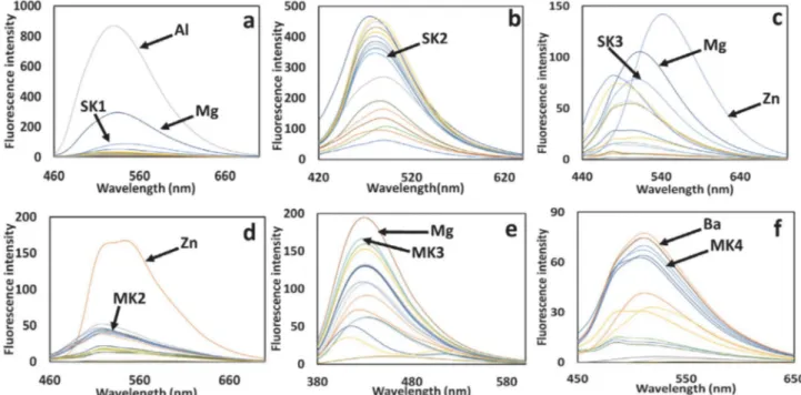 Fig. 2. Fluorescent emission spectra of (1µM); (a) SK-1, (b) SK-2, (c) SK-3, (d) MK-2, (e) MK-3, and (f) MK-4 in the presence of several metal ions  such as Li + , Na + , Ag + , Ca 2+ , Ba 2+ , Co 2+ , Cs + , Cu 2+ , Mg 2+ , Hg 2+ , Mn 2+ , Pb 2+ , Ni 2+ ,
