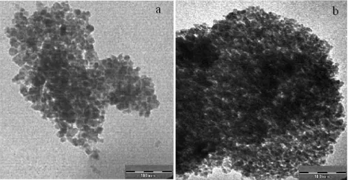 Fig. 1. TEM micrographs of (a) pure Fe 3 O 4 nanoparticles, (b) Polymer-2a.