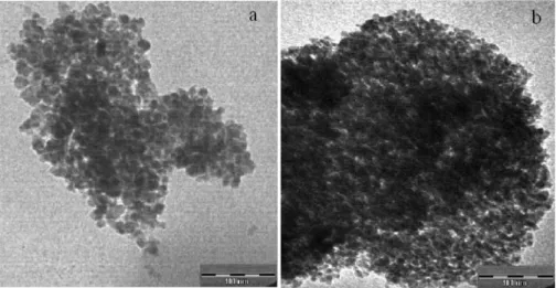 Fig. 1. TEM micrographs of (a) pure Fe 3 O 4 nanoparticles, (b) Polymer-2a.