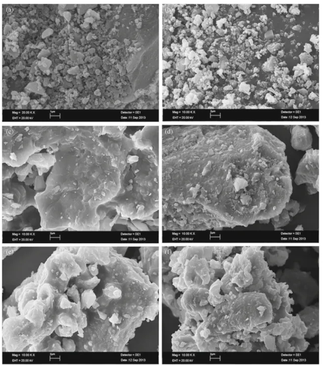Figure 5. SEM image of (a) MgAl 2 Si 2 O 8 , (b) MgAl 2 Si 2 O 8 : Ni 2+ , (c) MgAl 2 Si 2 O 8 : Cu 2+ , (d) MgAl 2 Si 2 O 8 : Pd 2+ , (e) MgAl 2 Si 2 O 8 : Pt 2+ and (f) MgAl 2 Si 2 O 8 : Ru 3+ .
