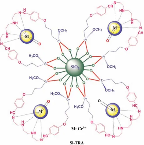 Figure 8 | The estimated perspective of Si-TRA metal ions combination.