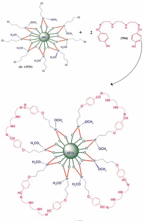 Figure 1 | continued.
