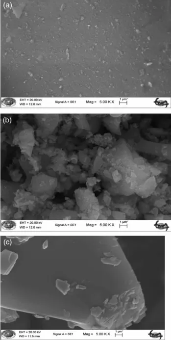 Figure 4 | SEM images of Si (a), Si-TRA (b) and TRA (c).
