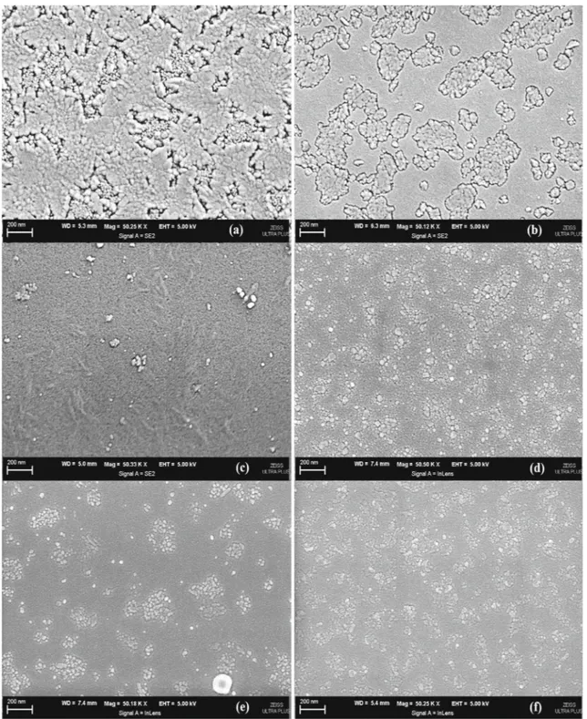 Figure 7 shows FE–SEM micrographs of pure and B-doped TiO 2 thin films. As clearly shown in figure 7 all films have homogeneous surface morphology