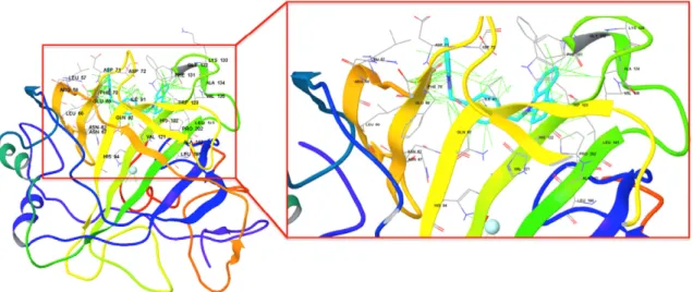 Figure 2. Top docking pose of compound 9a at the hCA-II.