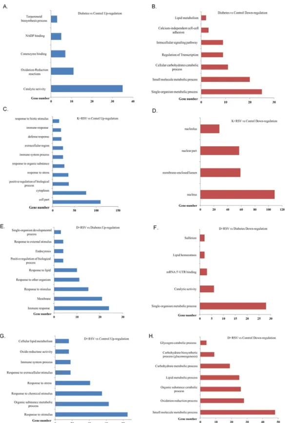 Fig 2. Functional classification of differentially expressed genes with STZ and resveratrol treatments