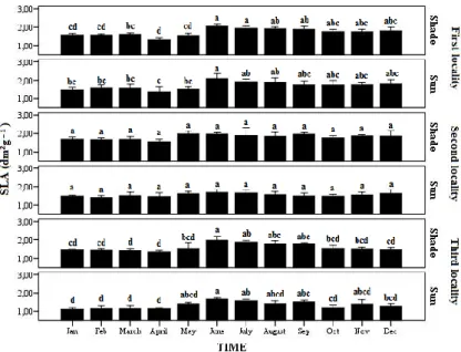 Figure 1.— Seasonal variation of specific leaf area (SLA) between type of leaves and localities