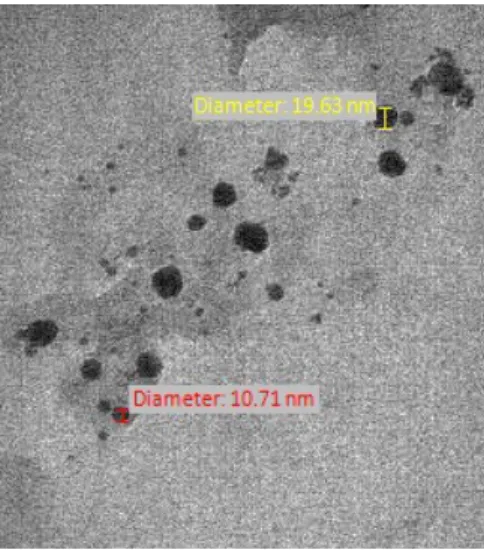 Fig. 1. A TEM image of Au NPs 