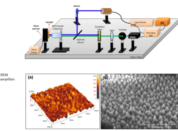 Fig. 2 Time-resolved fluorescence lifetime spectroscopy setup