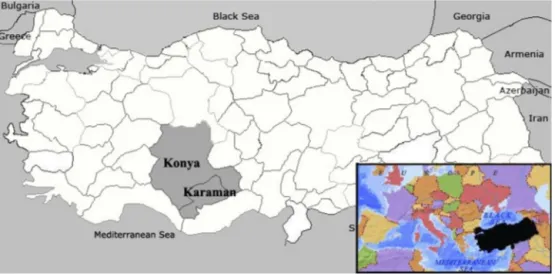 Fig. 1. Turkey map showing the study area.