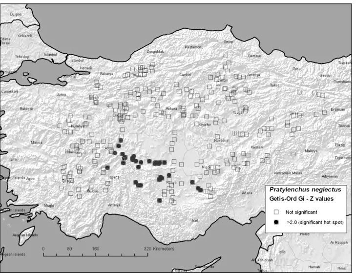 Fig. 4. Spatial pattern analysis of Pratylenchus neglectus. Black squares indicates high nematode incidence (‘hot spots’, GetisOrd Gi* P < 0.001), white squares indicates low nematode incidence.