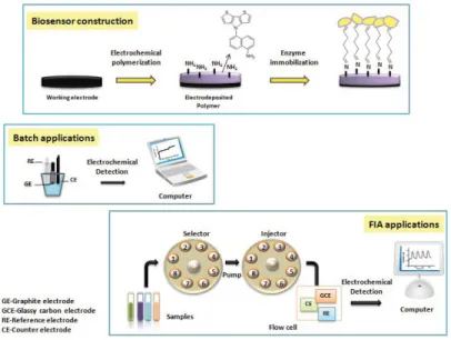 Figure 1. Schematic representation of DTP-NH 2 / GOx biosensors preparation and glucose detection in batch  and FIA mode 