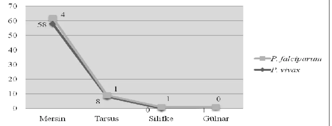 Fig. 2: Distribution of Plasmodium species according to locations of Mersin Province 