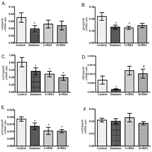 Figure 1. Changes in renal gene expression levels of (A) cat, (B) gpx, (C) sod1, (D) sod2, (E) gstmu, (F)  nfkb with diabetes and resveratrol