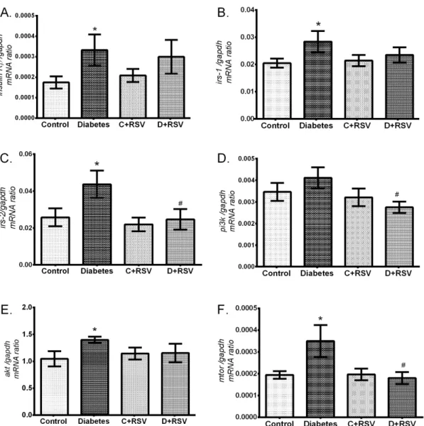 Figure 4. Effects of diabetes and/or resveratrol on renal (A) insulin Rβ, (B) irs-1, (C) irs-2, (D) pi3k, (E)  akt, (F) mtor gene expression levels