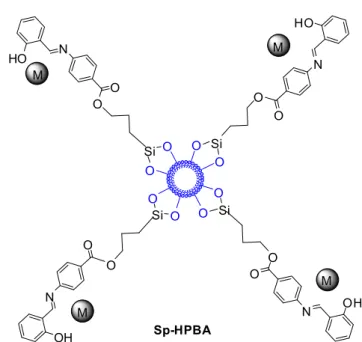 Fig. 13. The estimated perspective of Sp-HPBA-metal ions combination.