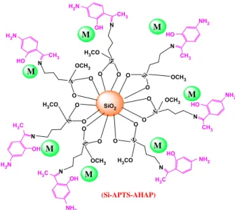Fig. 7. The estimated perspective of Si-APTS-AHAP metal ions combination.