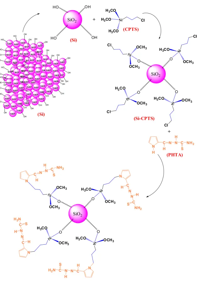 Fig. 2. Possible structure of silica gel bonded PHTA molecules.