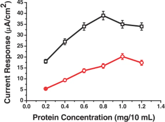 Fig. 1. Current responses containing different amounts of ChOx in the presence of 10 mM cholesterol solution for  CP-co-PPy/ChOx (  ) and PEO-co-PPy/ChOx (◦) electrodes