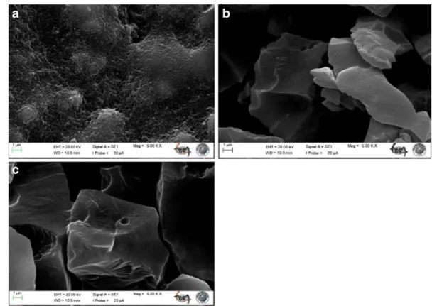 Fig. 6 Representative HPLC chromatograms of standard aro- aro-matic amines solution (a) and aroaro-matic amines which were treated with the p-C[6]-MN (b), in double distilled water  sam-ples