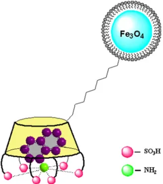 Fig. 8 Proposed interaction model between p-C[6]-MN and α- α-naphthalamine
