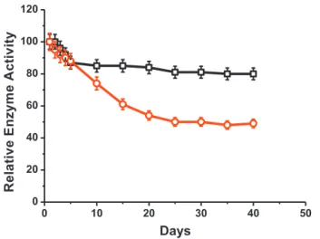 Fig. 4. Storage stability of CP-co-PPy/tyrosinase () and PEO-co-PPy/tyrosinase () electrodes.