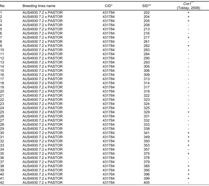 Table 1.  List of F 9  breeding lines derived from AUS4930 7.2 x Pastor crosses and screened in this study 