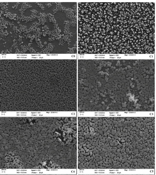 Fig. 6. Surface morphology of pure and CdS QDs doped CdO thin ﬁlms at 20 k× magniﬁcation (scale; 200 nm).