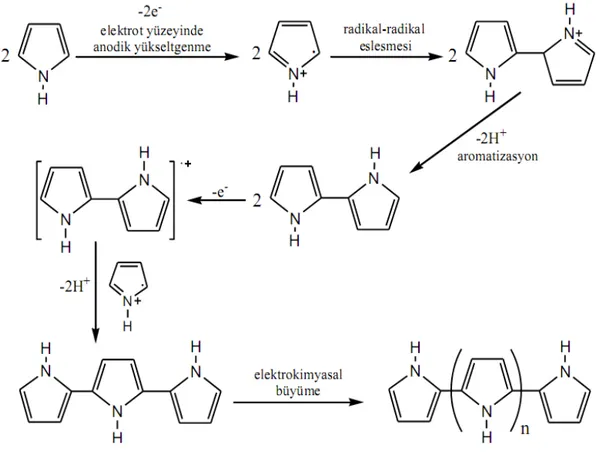 Şekil 2.7. Pirolün elektrokimyasal yükseltgenme ile polimerleşme mekanizması  
