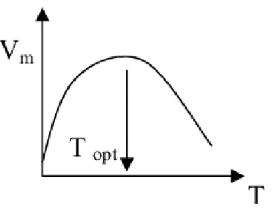Şekil 2.11. Sıcaklıkla reaksiyon hızının değişimi  (Devlin, 1997) 