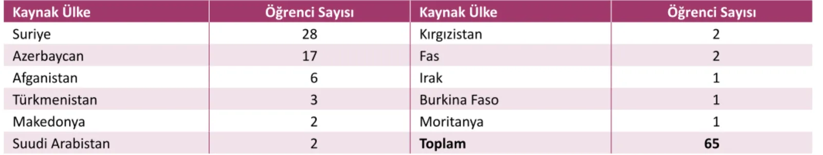 Tablo 2: Yabancı Uyruklu Öğrenciler ve Üniversite Bilgileri