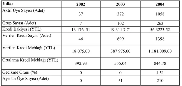 Tablo 3. Maya’nın 2002-2004 Yılları Faaliyet Verileri 