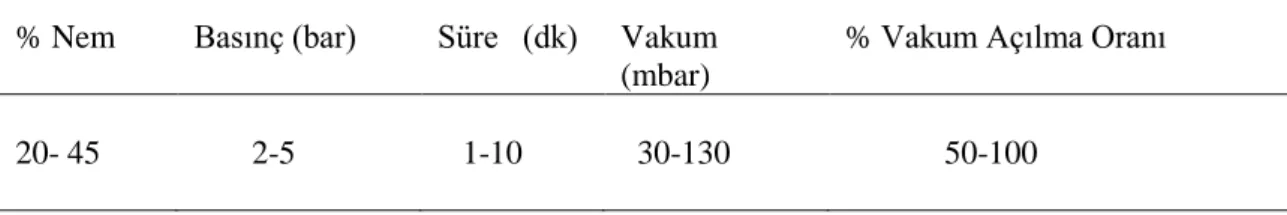 Çizelge 3.4.1.1. Ön denemede çalışılan şartlar 