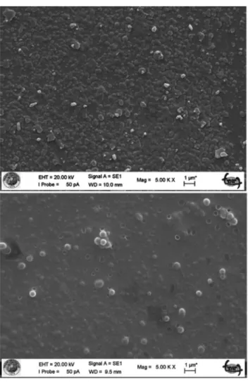 Fig. 3 SEM images of Calix-SH ﬁlms (A) and Calix-SH/GOx ﬁlms on the gold electrode surface.
