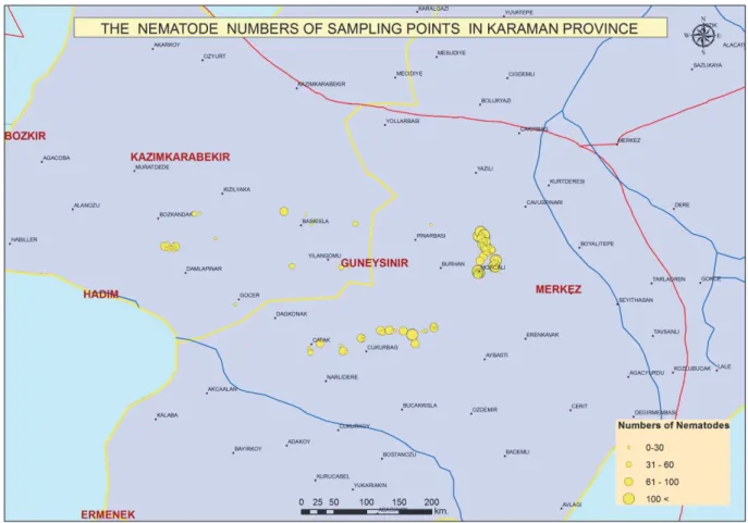 Figure 1. Distribution of Ditylenchus dipsaci based on population densities in soil in Karaman province during July 2012