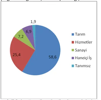 Şekil  1.  Ekonomik Faaliyet Kollarına  Göre  Çocuk  İşçiliğinin Dağılımı (5-17 Yaş Aralığı) 