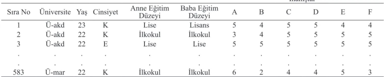 Tablo 2.  Çalışmada elde edilen veri seti